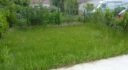 Maison 3 pièces avec jardin