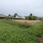 Terrain constructible