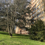 VENDU LOUÉ Appartement 4 pièces, Résidence des Fougères.