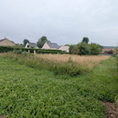 Terrain constructible