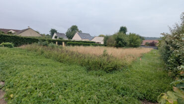 Terrain constructible