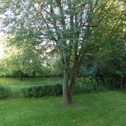 APPARTEMENT 3 PIÈCES EN RÉSIDENCE