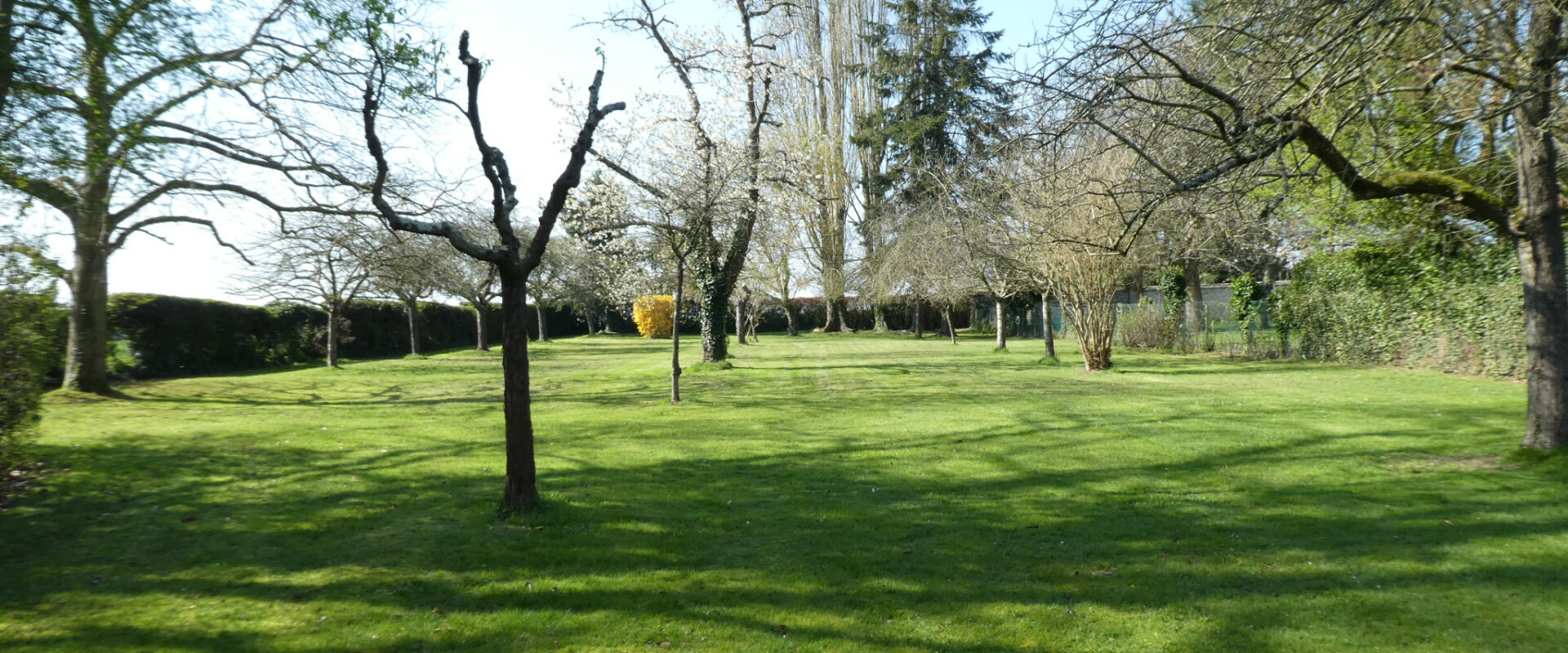 Propriété à Cély-en-Bière – près de Barbizon (77)
