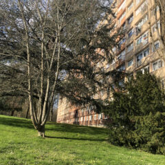 VENDU LOUÉ ! Pour investisseur, appartement 4 pièces et 64 m2.