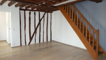 Appartement 3 pièces duplex 72 m2 au sol (55 m2 Loi Boutin) en centre ville