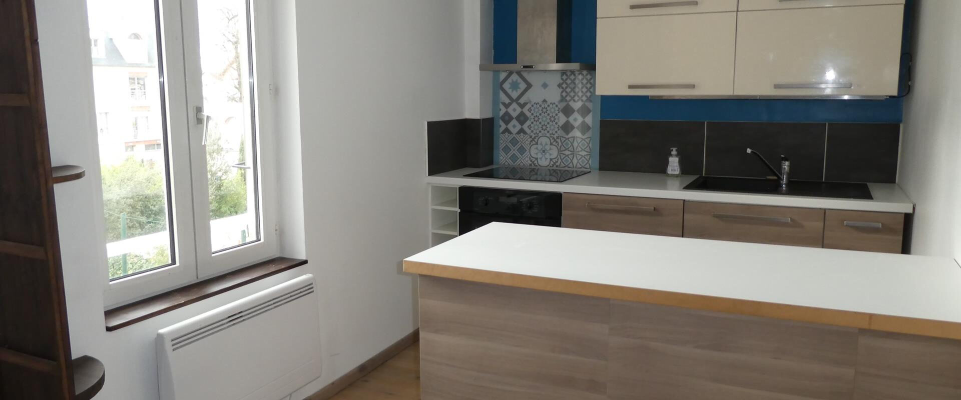 Appartement 3 pièces duplex 72 m2 au sol (55 m2 Loi Boutin) en centre ville